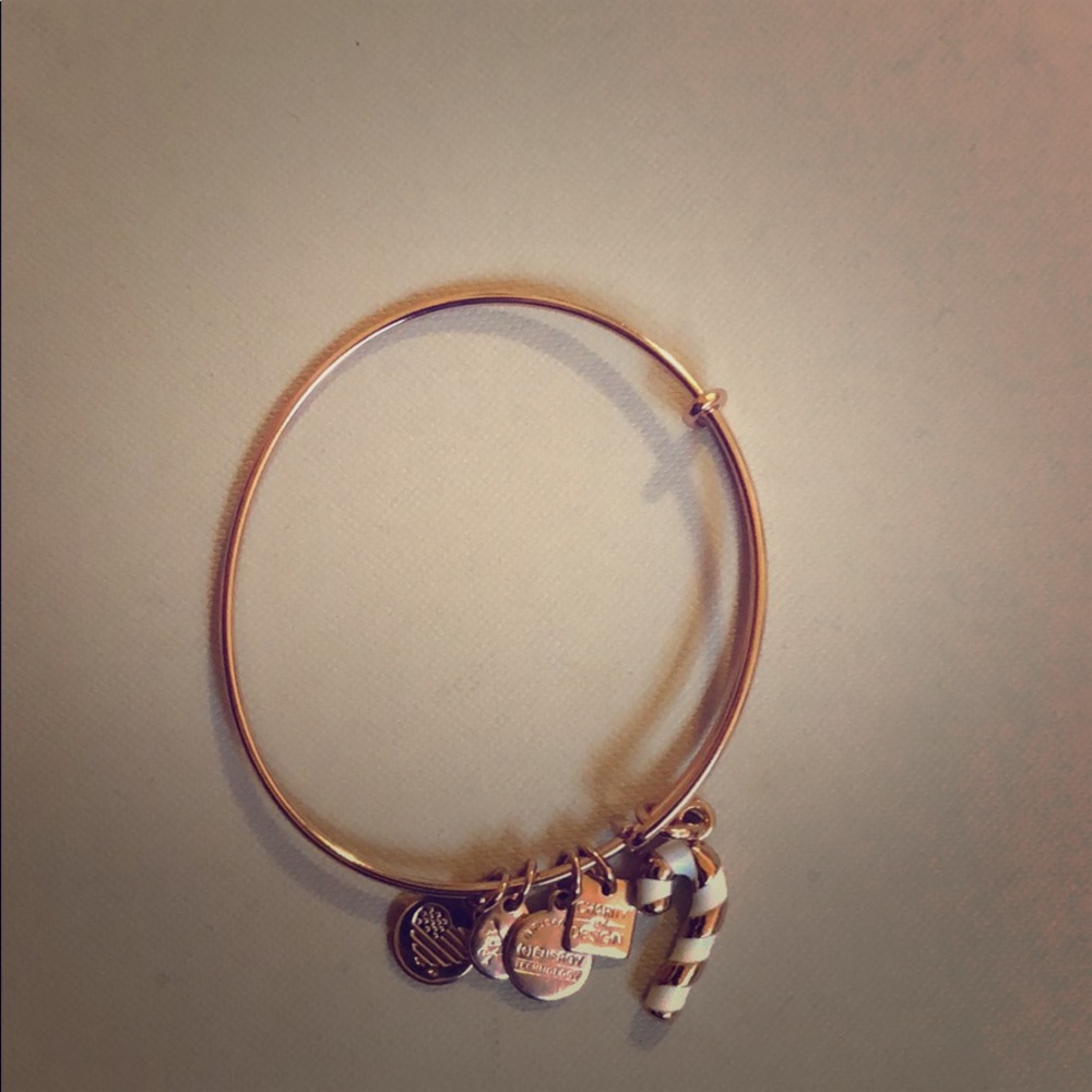 Limited Edition Rose Gold Alex And Ani Bracelet